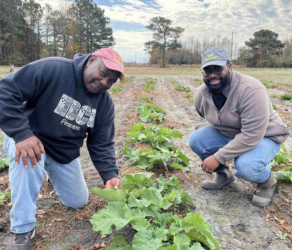 Moore family farmers kneeling beside collard greens